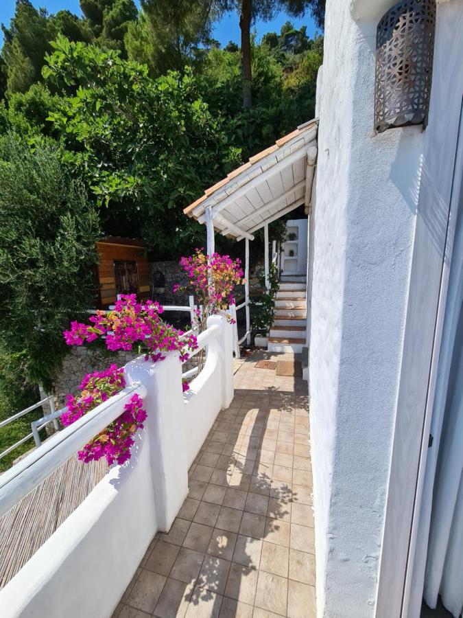 Soqquadro Art&Relax - Spotorno Apartman Kültér fotó